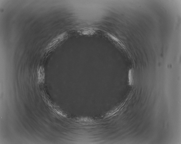 X0000085041443200703121421