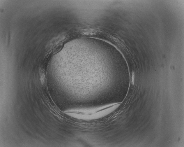 X0000085041444200703121421