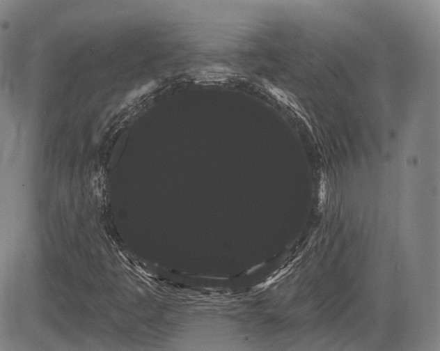 X0000085041445200703121421