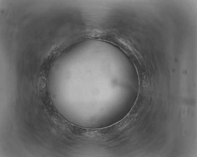 X0000085041447200703121421