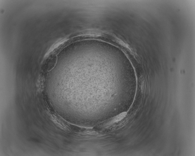 X0000085041448200703121421