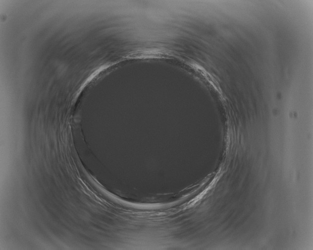 X0000085041449200703121421