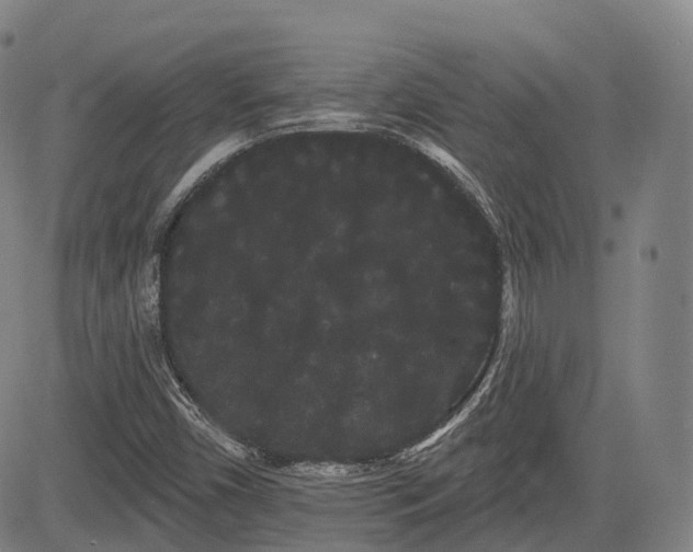 X0000085041450200703121421