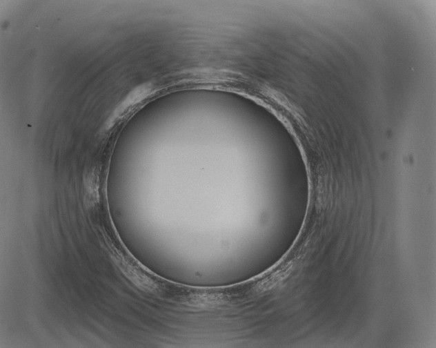 X0000085041451200703121421