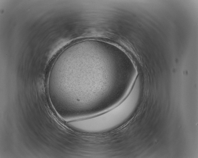 X0000085041452200703121421