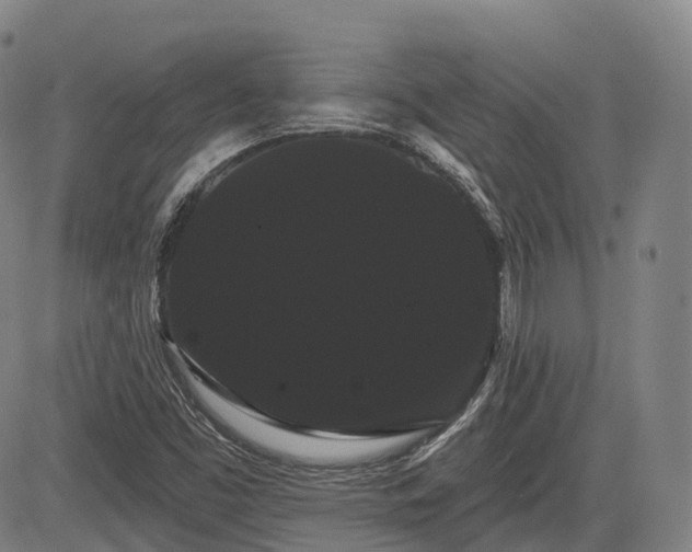 X0000085041453200703121421