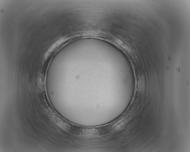 X0000085041454200703121421