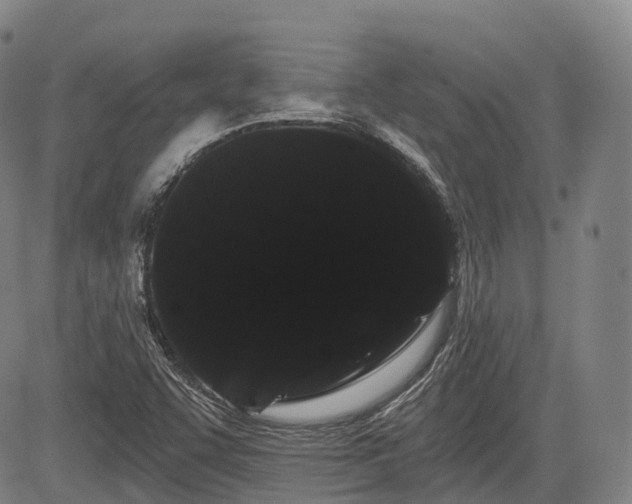 X0000085041455200703121421