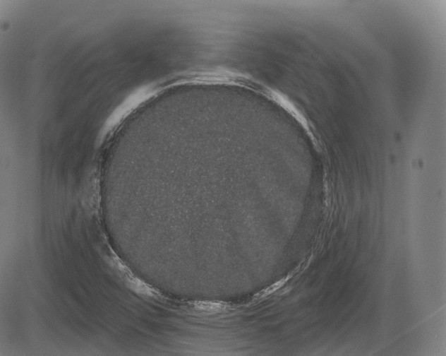 X0000085041456200703121421