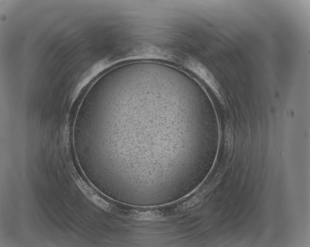 X0000085041460200703121421