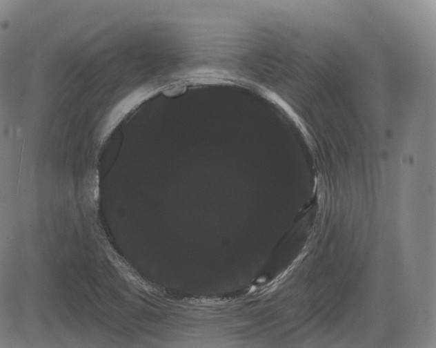 X0000085041461200703121421