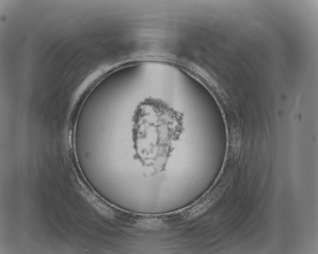 X0000085041462200703121421