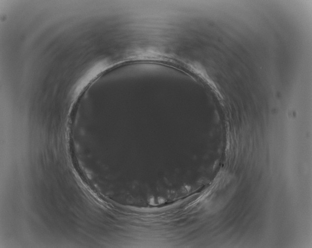 X0000085041463200703121421