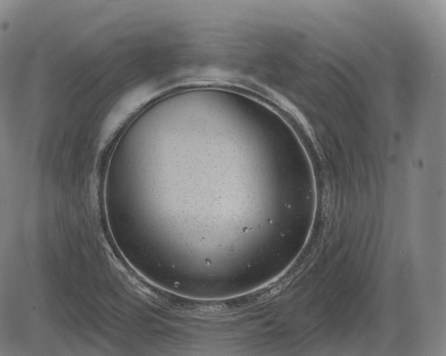 X0000085041464200703121421