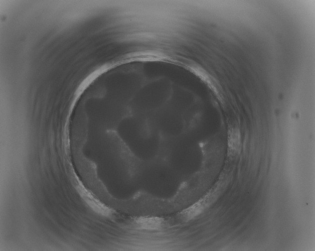 X0000085041466200703121421