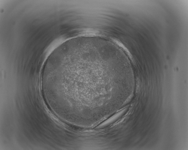 X0000085041467200703121421