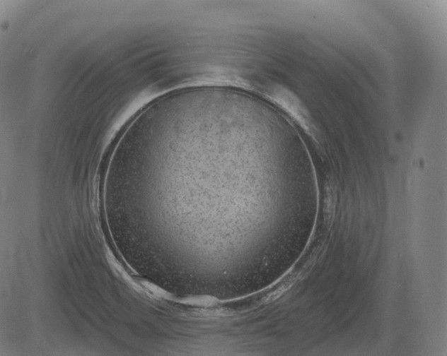 X0000085041468200703121421