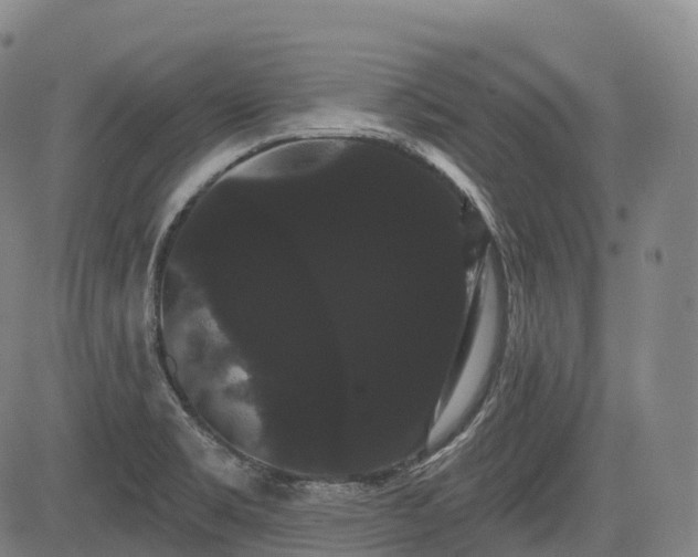 X0000085041469200703121421