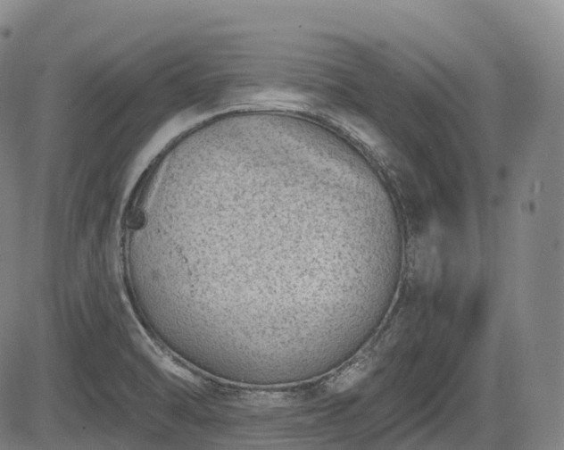 X0000085041470200703121421