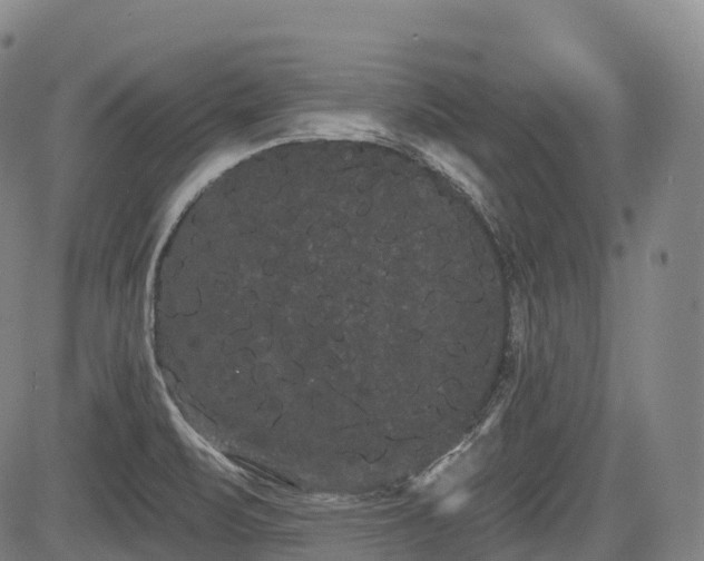 X0000085041471200703121421