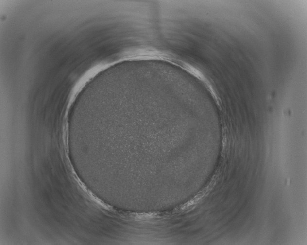 X0000085041472200703121421