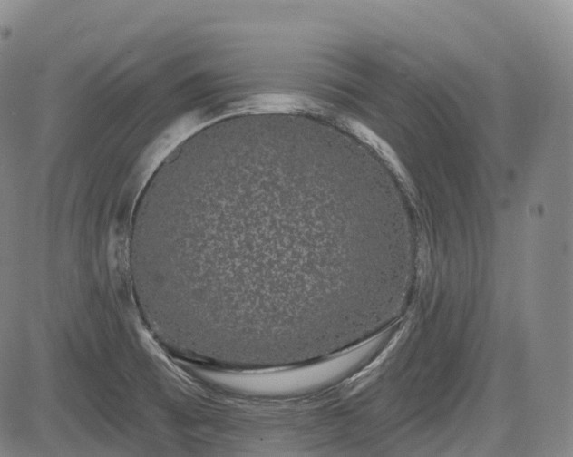 X0000085041473200703121421