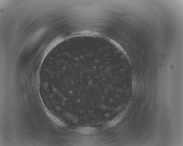 X0000085041474200703121421