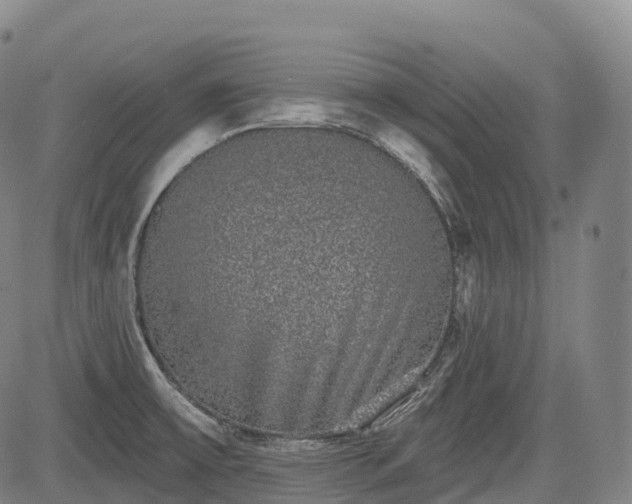 X0000085041475200703121421