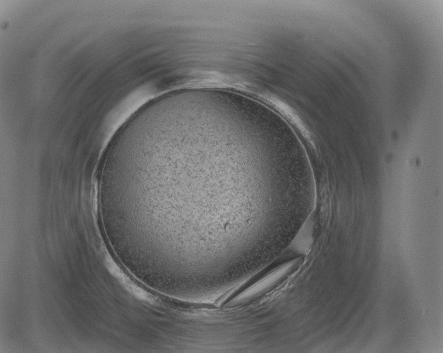 X0000085041476200703121421