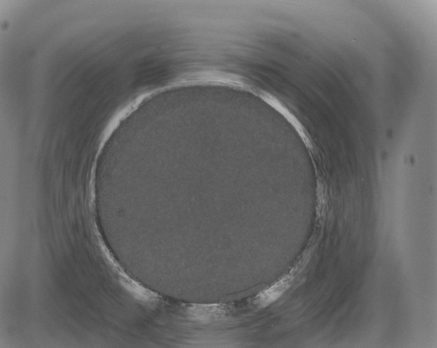 X0000085041477200703121421