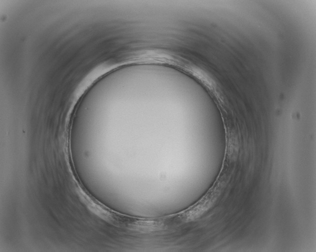 X0000085041478200703121421