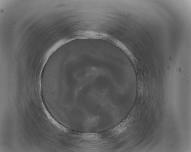 X0000085041479200703121421