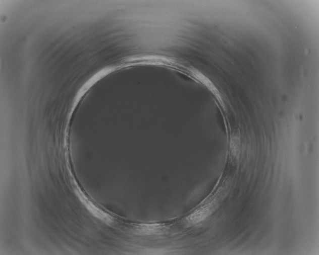 X0000085041482200703121421