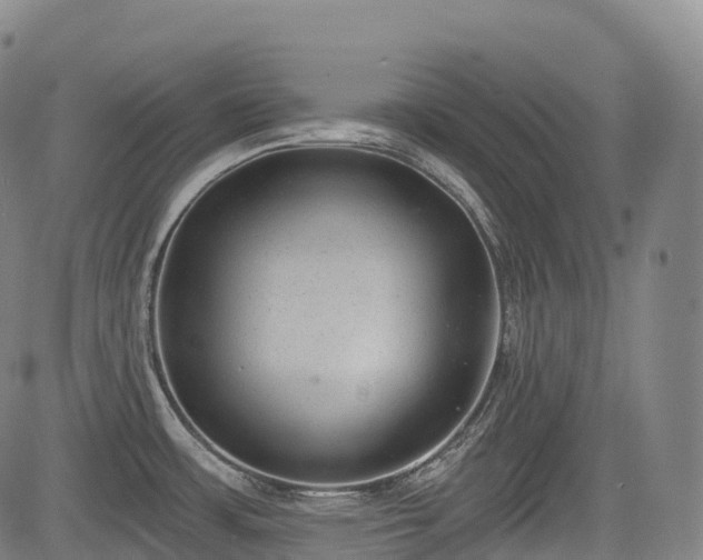 X0000085041483200703121421