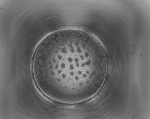 X0000085041484200703121421