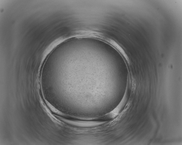 X0000085041485200703121421