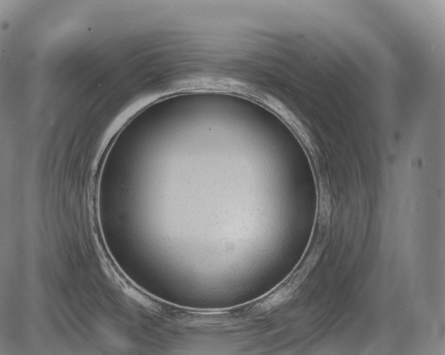 X0000085041486200703121421