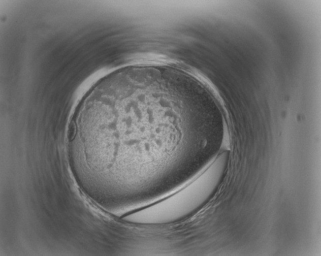 X0000085041488200703121421