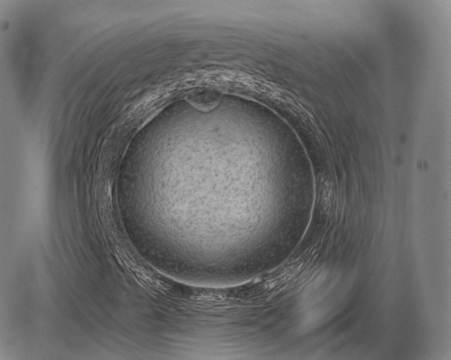 X0000085041489200703121420