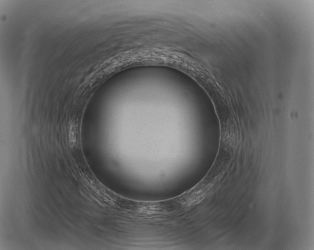 X0000085041490200703121420