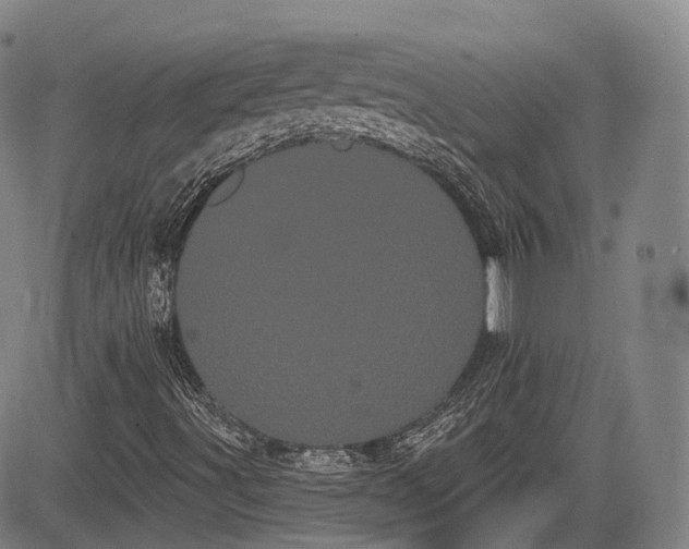 X0000085041491200703121420