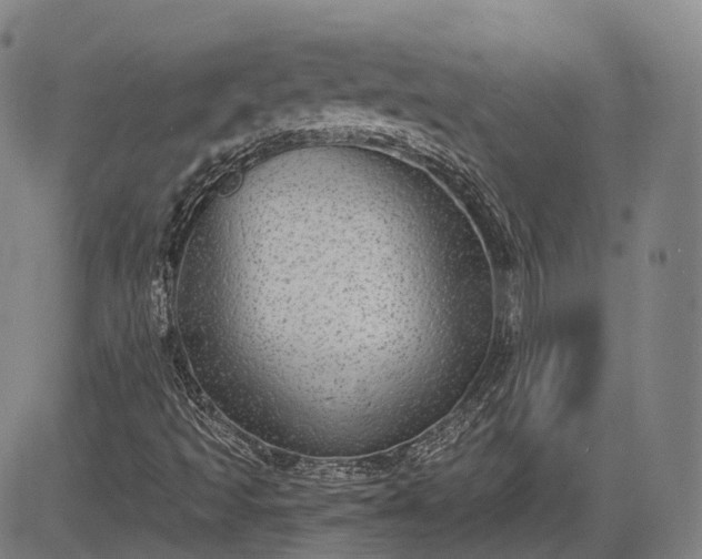 X0000085041493200703121420