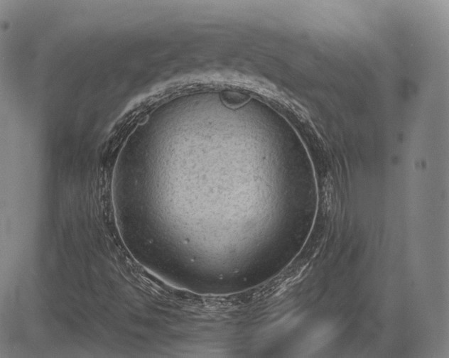 X0000085041494200703121420