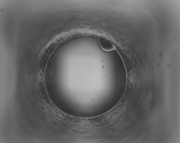 X0000085041495200703121420