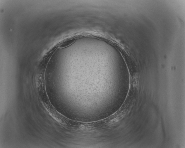 X0000085041496200703121420