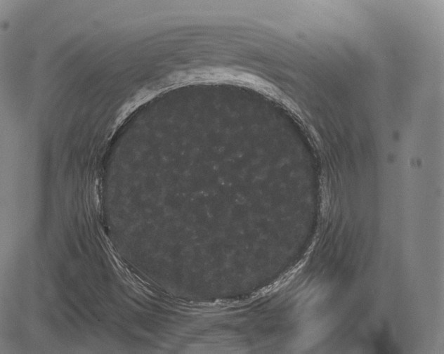 X0000085041497200703121420