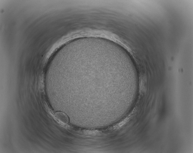 X0000085041498200703121420