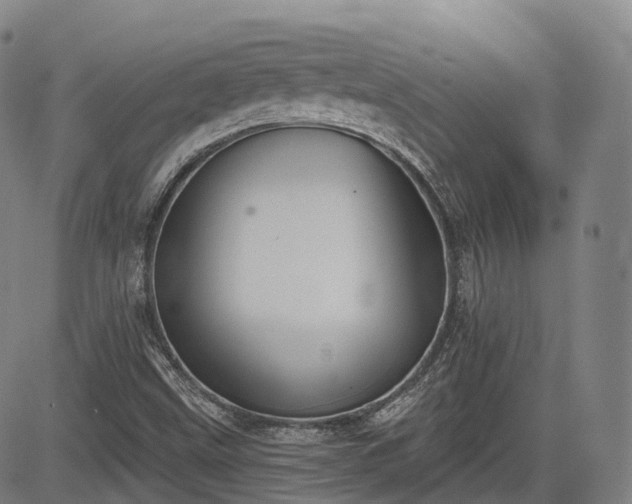 X0000085041499200703121420