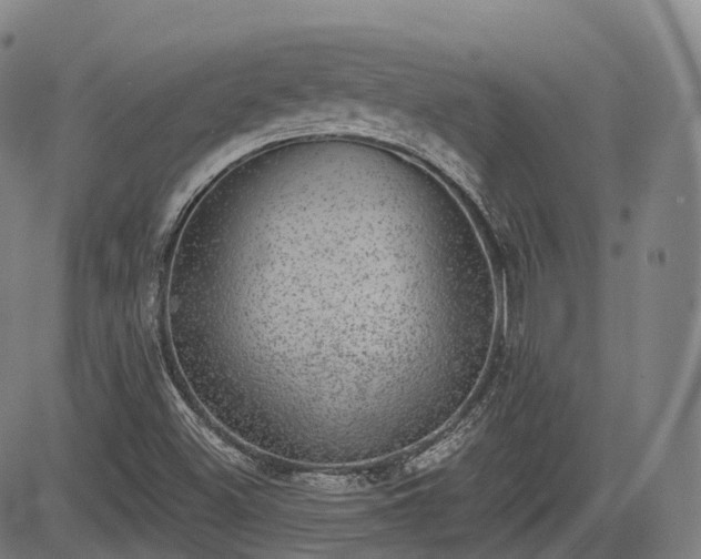 X0000085041500200703121420