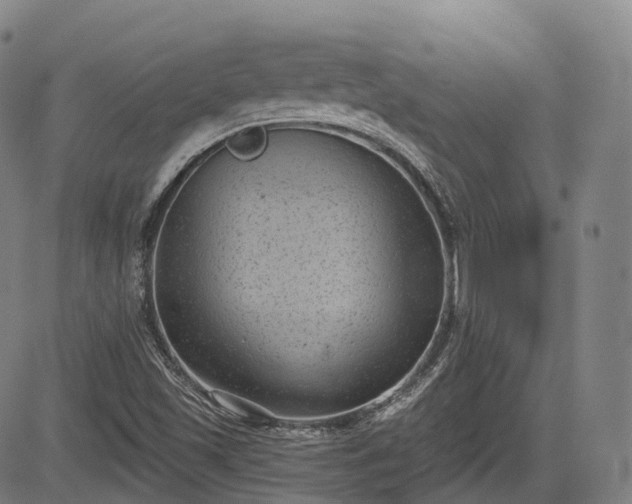 X0000085041501200703121420